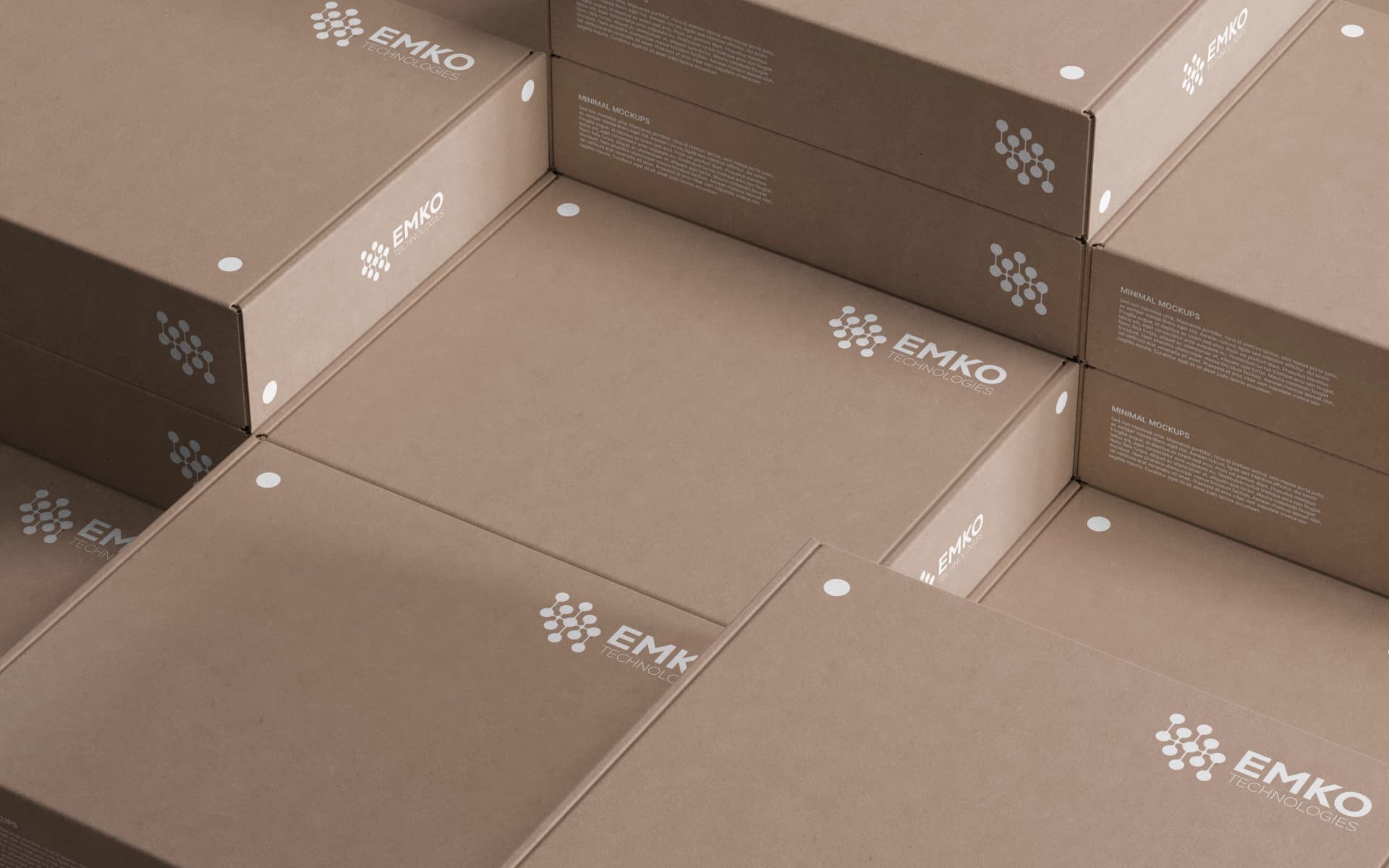 Emko Technologies Haqqında